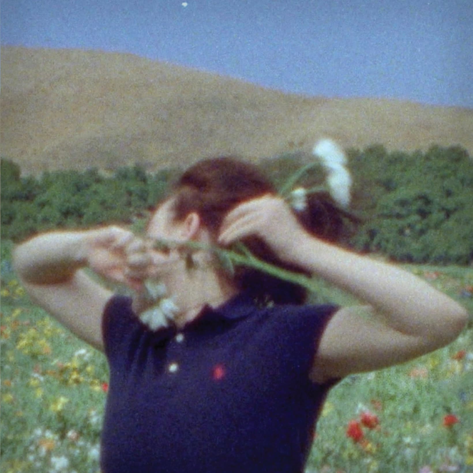 BIRDS OF A FEATHER single cover
