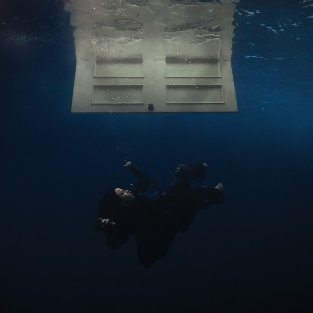 HIT ME HARD AND SOFT album cover