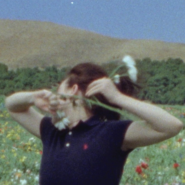 BIRDS OF A FEATHER single cover